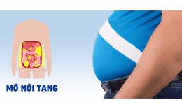 Dư thừa mỡ nội tạng gây nên những bệnh gì?