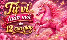 Tử vi tuần mới 12 con giáp 1/6 - 7/6: Dần có lộc, Tuất vận trình thăng tiến