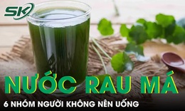Nước rau má tốt nhưng 6 nhóm người không nên uống