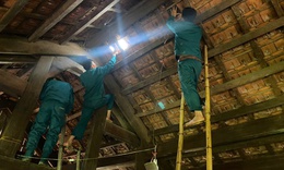 Dông lốc, mưa đá tàn phá Nghệ An: Hàng nghìn héc-ta lúa đổ rạp, gần 1.000 nhà hư hỏng