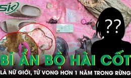 Bí ẩn bộ hài cốt trong rừng Sơn Trà: Nữ giới tử vong hơn 1 năm, không giấy tờ