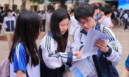 Các nhóm ngành được miễn 100% học phí