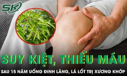 Người đàn ông không thể đi lại sau 15 năm uống đinh lăng, lá lốt trị xương khớp 