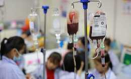 Ngày Thalassemia Thế giới (8/5): Nhiều người mang gen bệnh mà không biết