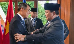 Thủ tướng Lê Minh Hưng gặp Tổng thống Indonesia Prabowo Subianto