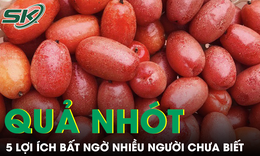 5 lợi ích bất ngờ của quả nhót với sức khỏe, nhiều người chưa biết 