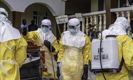 Dịch Ebola: Liên minh chống dịch bệnh tài trợ 60 triệu USD phát triển vaccine