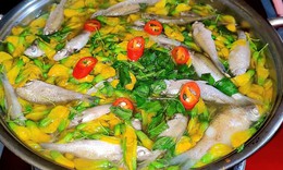 4 món ngon từ bông điên điển