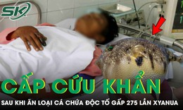 Người đàn ông 33 tuổi phải cấp cứu sau khi ăn loại cá chứa độc tố đáng sợ gấp 275 lần xyanua