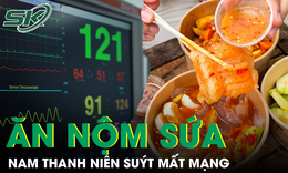 Suýt mất mạng vì ăn nộm sứa, chuyên gia cảnh báo nguy cơ từ món ăn tưởng chừng vô hại