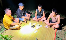 Khởi tố 8 đối tượng đánh bạc trên đồi quế