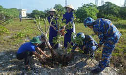 Thêm gần 183.000 cây trồng và 240 tấn phân bón để ‘Xanh hóa Trường Sa’