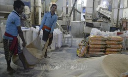 Thị trường nông sản: Giá cà phê thế giới phục hồi ấn tượng sau nhịp giảm