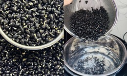 Nước đậu đen và sức khỏe thận dưới góc nhìn khoa học
