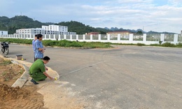Bị đàn dê ăn mất lá chuối, người đàn ông bắt trộm dê về làm thịt