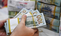 Tỷ giá USD/VND thị trường tự do giảm mạnh