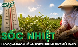 Nhổ lạc giữa trời nắng, người phụ nữ suýt mất mạng vì sốc nhiệt