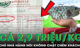 Du khách phản ánh cá bò hòm 2,9 triệu/kg, chủ nhà hàng nói không chặt chém