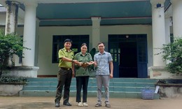 Người dân phát hiện 'loài vật rất quý' liền mang về giao nộp cho chính quyền