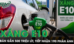 Xăng E10 sau nửa tháng triển khai: Bán gần 500 triệu lít, tiếp nhận 190 phản ánh từ người dân