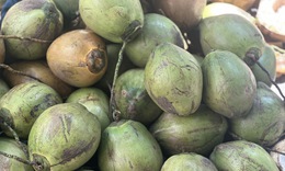 Những loại đồ uống tự nhiên giúp hỗ trợ ổn định huyết áp hiệu quả