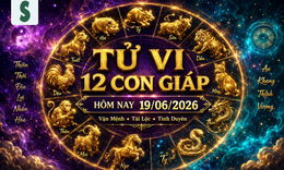 Tử vi 12 con giáp hôm nay 19/6: Thìn suôn sẻ, Tý gặt hái thành công
