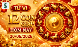 Tử vi 12 con giáp hôm nay 20/6: Tý hài hòa, Sửu đón tin vui