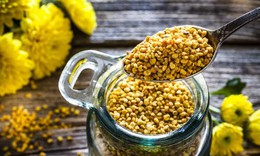 7 lợi ích tiềm năng của phấn hoa