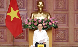 Phó Thủ tướng yêu cầu mở đợt cao điểm mới chống xâm phạm sở hữu trí tuệ