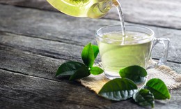 Nên uống trà xanh tươi hay khô để giảm cân?