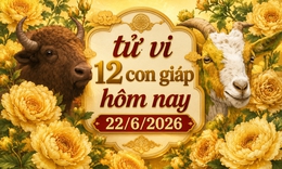 Tử vi 12 con giáp hôm nay 22/6: Mùi thư thái, Thân tài lộc nhảy vọt