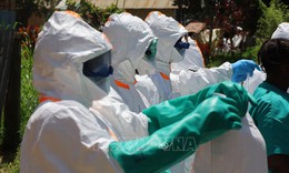 Dịch Ebola: Tây Phi tăng cường các biện pháp chuẩn bị và phòng ngừa