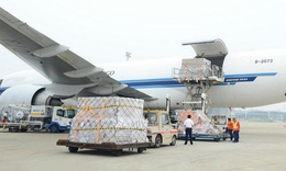KBSV khuyến nghị mua cổ phiếu SCS