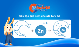 Kẽm Chelate hữu cơ – Giải pháp cho hơn 60% trẻ em Việt Nam thiếu kẽm