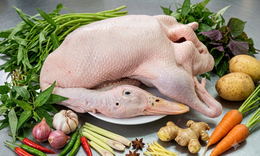 5 lý do để ăn thịt vịt ngay trong mùa hè này