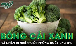 Loại rau bán đầy chợ lại rất bổ dưỡng, được ví như 'lá chắn tự nhiên' phòng ngừa ung thư