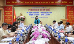 Bộ trưởng Đào Hồng Lan: Hội đồng Y khoa Quốc gia phải tập trung hoàn thành nhiệm vụ trước ngày 1/1/2027
