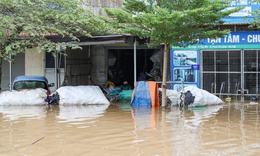 Cảnh báo ngập úng nhiều khu vực do mưa lớn, lũ trên các sông lên nhanh
