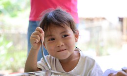 Dinh dưỡng học đường: Từ bữa ăn bán trú đến thay đổi hành vi chăm sóc trẻ