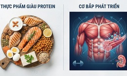 6 điều có thể xảy ra khi bắt đầu ăn nhiều protein hơn