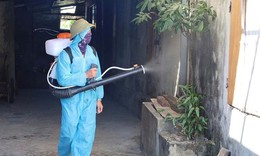 Hà Tĩnh khống chế thành công ổ dịch sốt xuất huyết Dengue