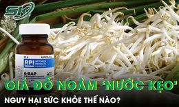 Giá đỗ ngâm hóa chất tuồn ra thị trường nguy hại sức khỏe thế nào?