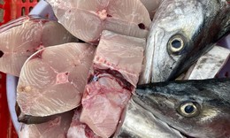 Bổ sung axit béo với loại cá có hàm lượng omega - 3 cao gấp đôi cá hồi