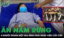 Ăn nấm rừng, 4 người trong một gia đình phải nhập viện cấp cứu
