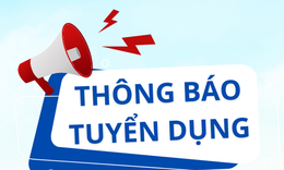 Văn phòng Hội đồng Y khoa Quốc gia tuyển dụng viên chức năm 2026