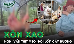 Xôn xao nghi vấn thịt mèo ‘đội lốt’ cầy hương, cơ quan chức năng vào cuộc