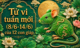 Tử vi tuần mới 12 con giáp 8/6 - 14/6: Thìn cải thiện, Hợi biến động đan xen