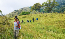 Tự ý tổ chức trekking ở Vườn quốc gia Núi Chúa - Phước Bình có thể bị xử lý