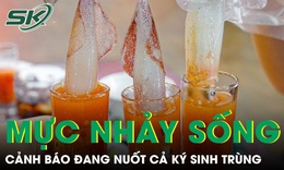 Món 'mực nhảy sống' sốt mạng xã hội, chuyên gia cảnh báo đang nuốt cả ký sinh trùng 