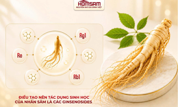 Homsam, nhân sâm đăng ký dạng thuốc